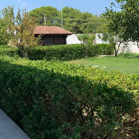 Appartamento A Casa Di Alfredo *