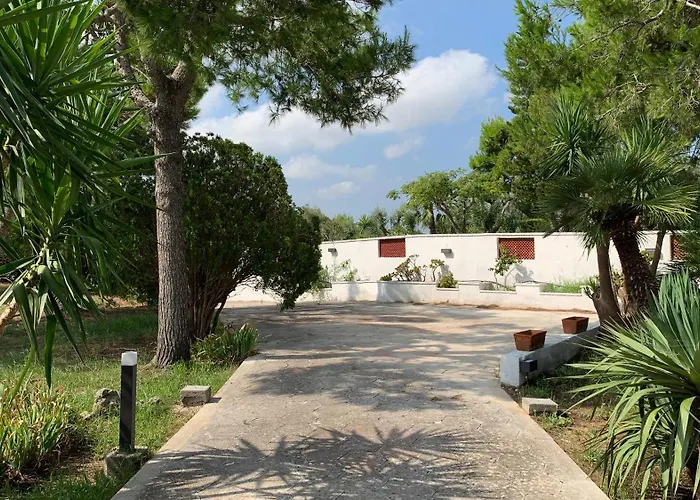 A Casa Di Alfredo In