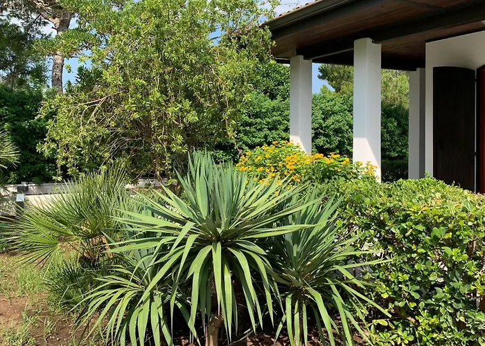 A Casa Di Alfredo In *