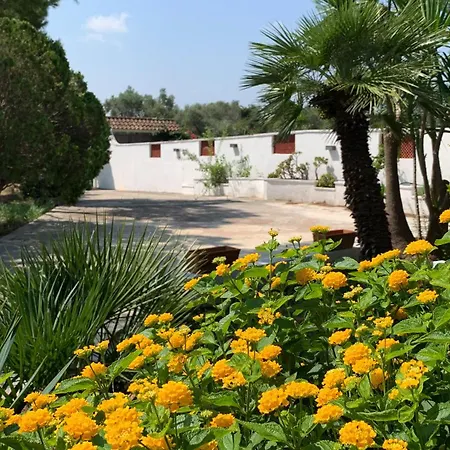 A Casa Di Alfredo Apartman *